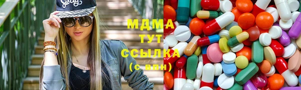 гашик Алексин