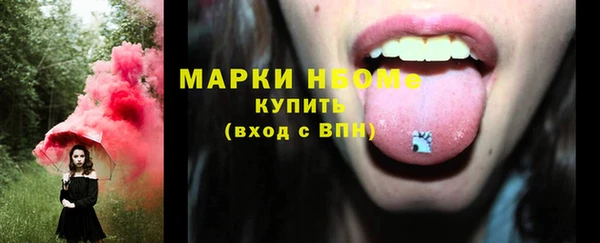 гашик Алексин