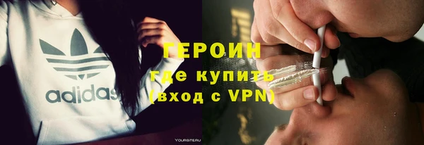 гашик Алексин