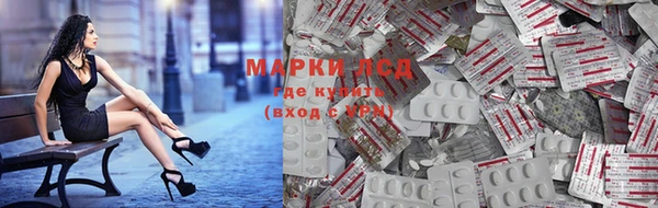 гашик Алексин