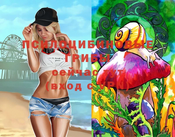 сатива Алзамай