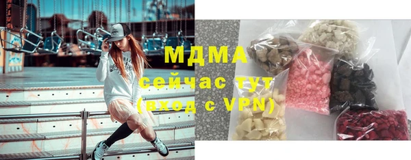 гашик Алексин