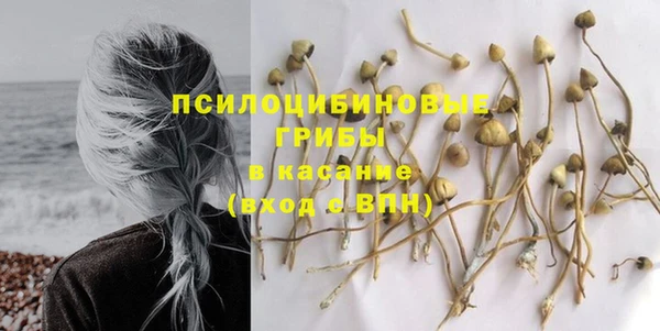 дурь Алексеевка