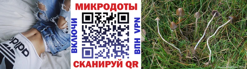 omg как войти  Кирс  Галлюциногенные грибы GOLDEN TEACHER  дарнет шоп 